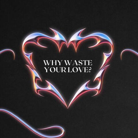 Why Waste Your Love?