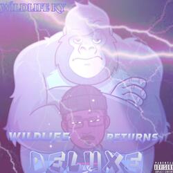 D.O.F (Day One Friend)