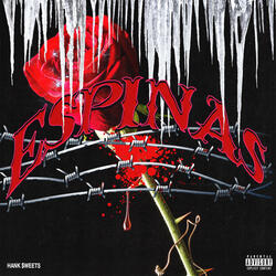 ESPINAS