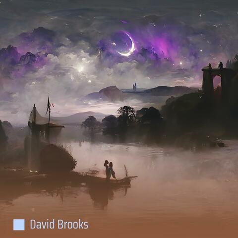 David Brooks