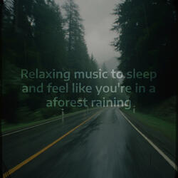 Night's Lullaby