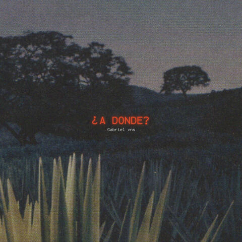 ¿A Donde?
