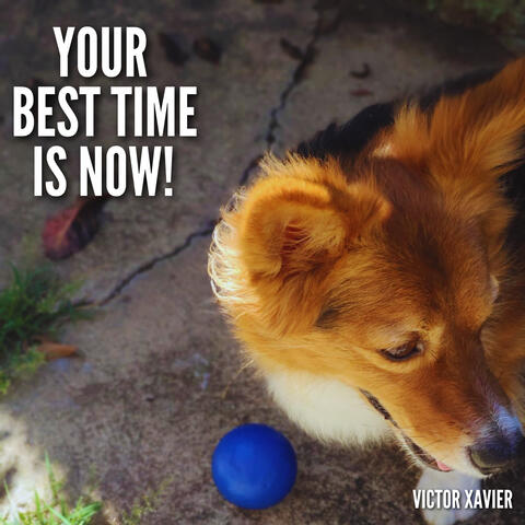 Your Best Time Is Now !