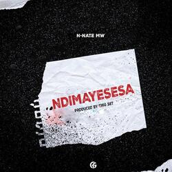 Ndimayesesa