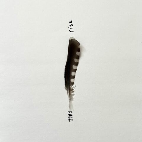 rise&FALL