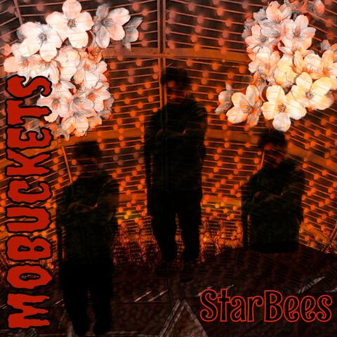 StarBees