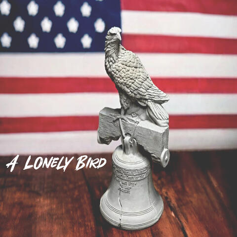 A Lonely Bird