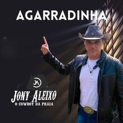 Agarradinha