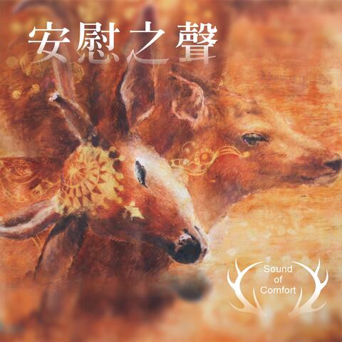 Sound of Comfort II