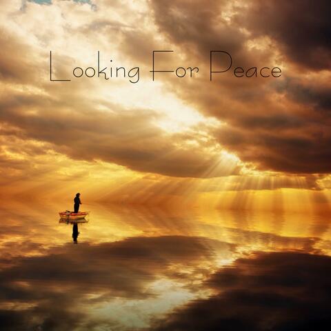Looking For Peace