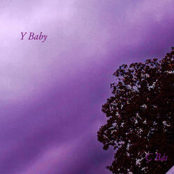 Y Baby