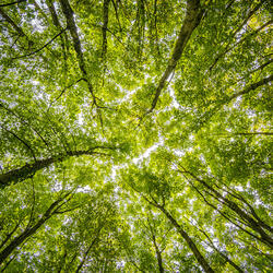 On The Rocks Ocean Sleep Sounds
