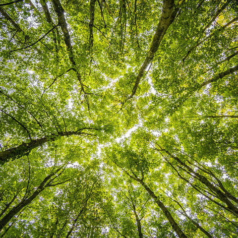 0 Hour: The Beginning Of Now