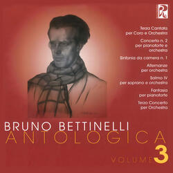 Terzo concerto per orchestra: II. Calmo-Intermezzo
