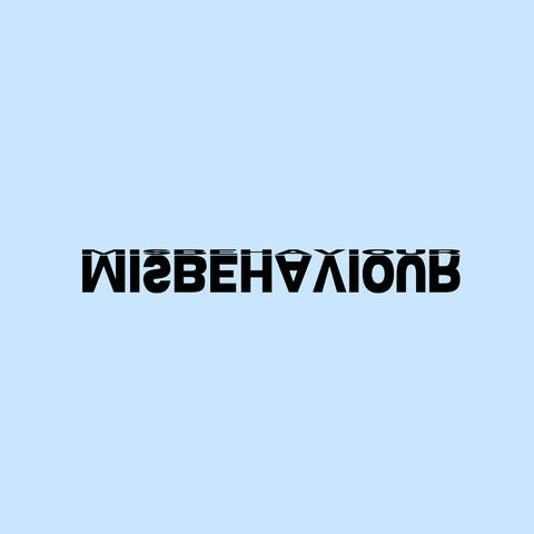 MISBEHAVIOUR