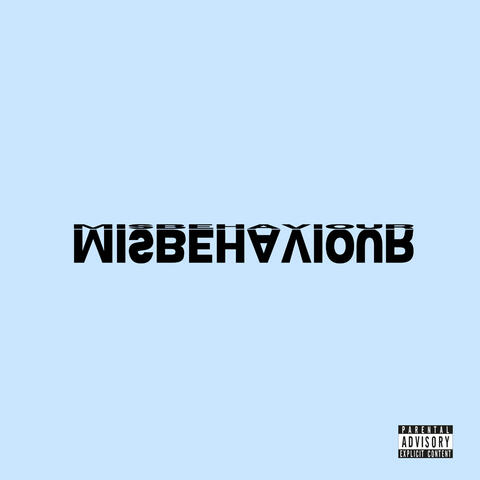 MISBEHAVIOIR