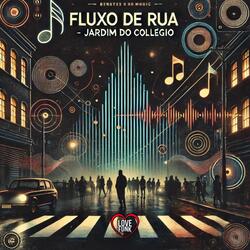 Fluxo de Rua - Jardim do Colegio