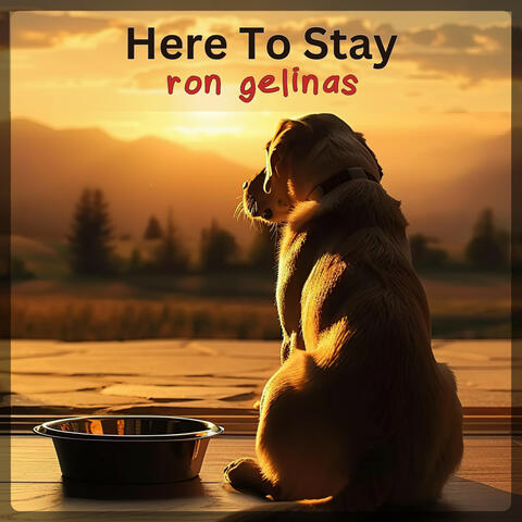 Here To Stay