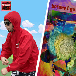 before i go