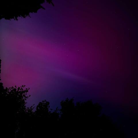 The Color Purple