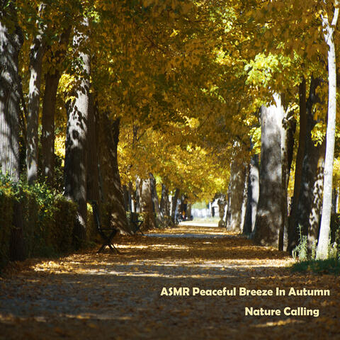 ASMR Peaceful Breeze In Autumn