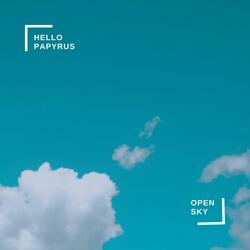Open Sky