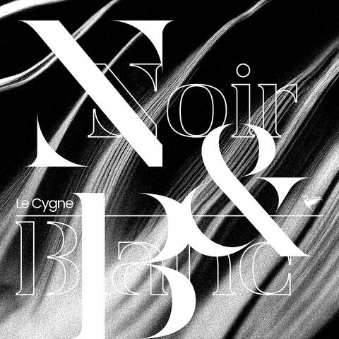 Noir & Blanc
