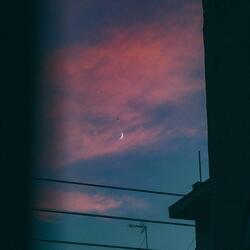 winter nights