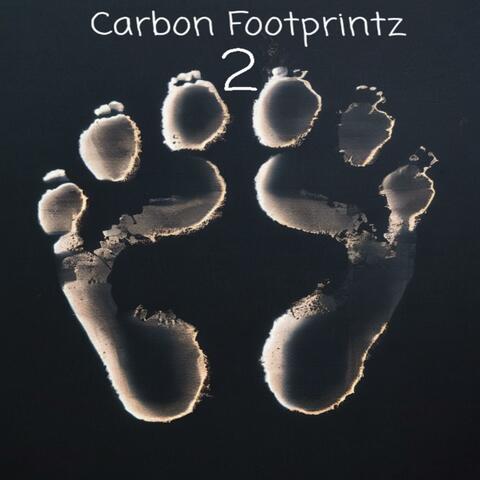 Carbon Footprintz 2
