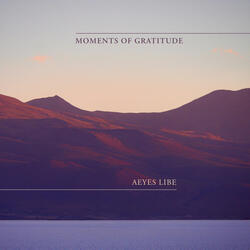 Moments Of Gratitude