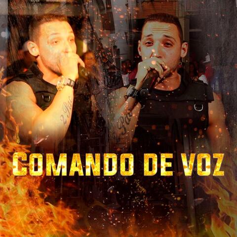 Comando de Voz