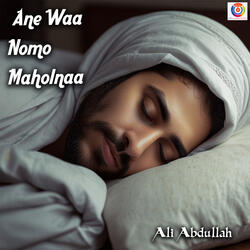 Ane Waa Nomo Maholnaa