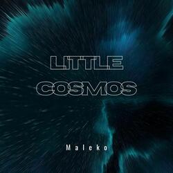 Little Cosmos