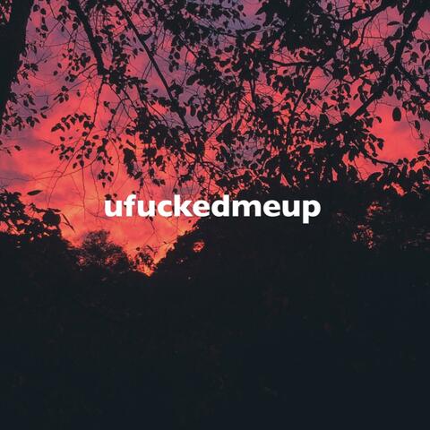 ufuckedmeup