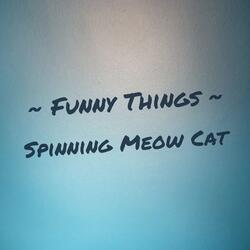 Funny Things, Spinning Meow Cat
