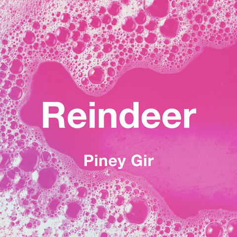 Reindeer
