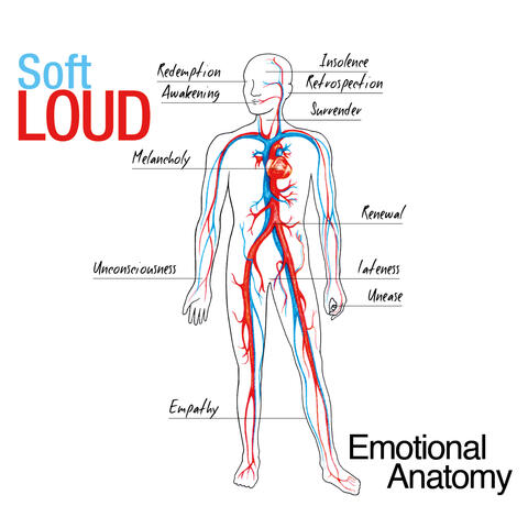 Emotional Anatomy