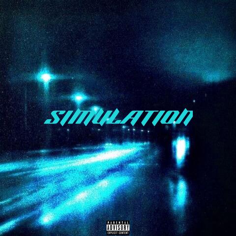 SIMULATION