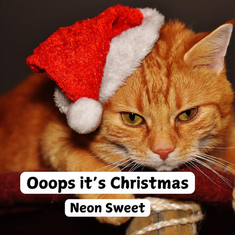 Ooops it's Christmas