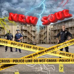 NEW SOUL