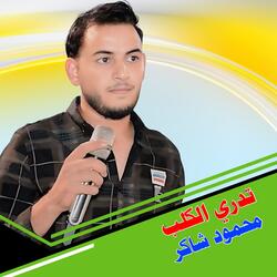 Dudj Tadri