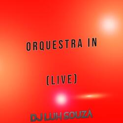Orquestra In