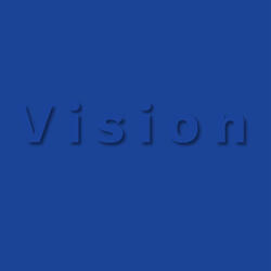 Vision
