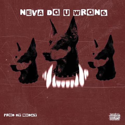 Neva Do U Wrong