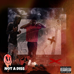 Not a Diss