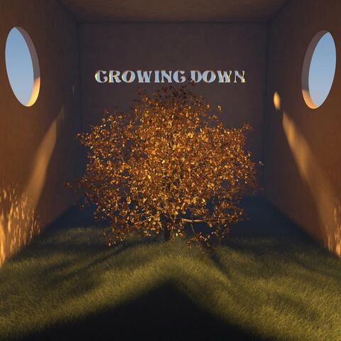 Growing Down