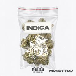Indica