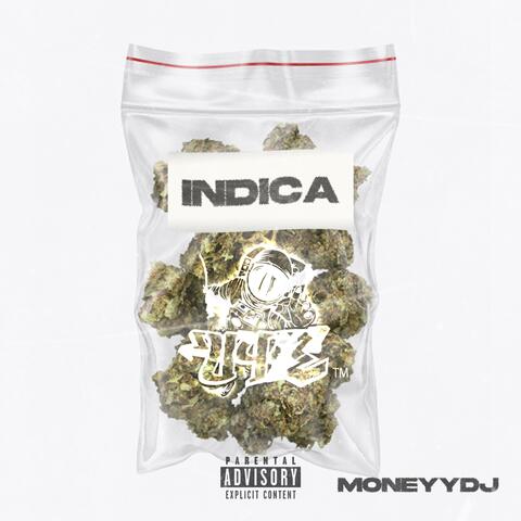 Indica