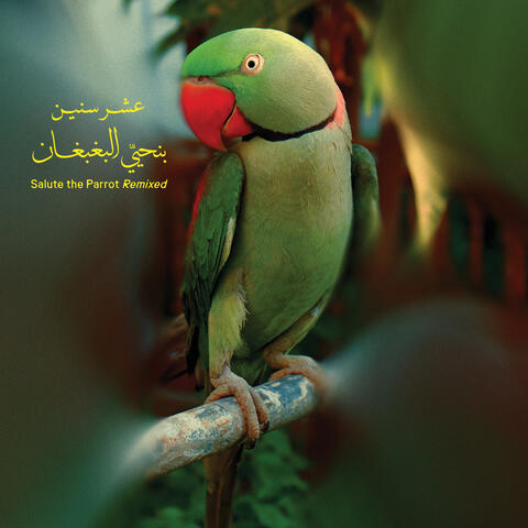 Benhayyi Al-Baghbaghan (Salute the Parrot) Remixed