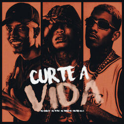Curte a Vida